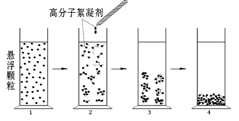 高分子絮凝劑絮凝機(jī)理.jpg