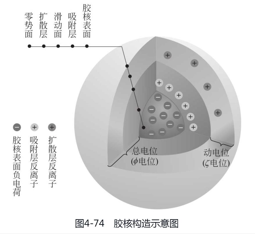 膠核構(gòu)造
